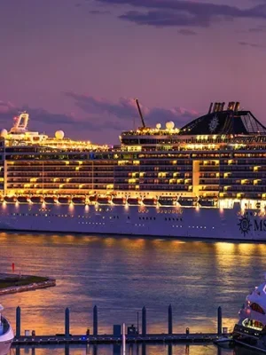 Msc_Divina_e3f3c916b8