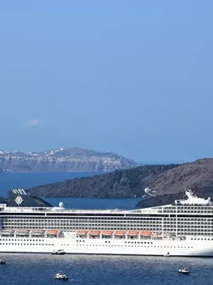 msc_muscia_86c6195f13